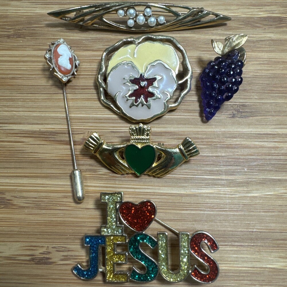Assorted Vintage and Retro Costume Jewelry Brooch Pin Lot Lucite Grape Cameo